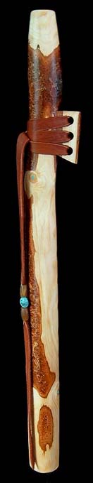 Ponderosa Pine Branch Flute in A with Turquoise Inlay from Dryad Branch Flutes