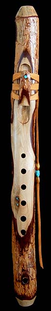 Peppertree "Warbling" Branch Flute in A from Dryad Flutes