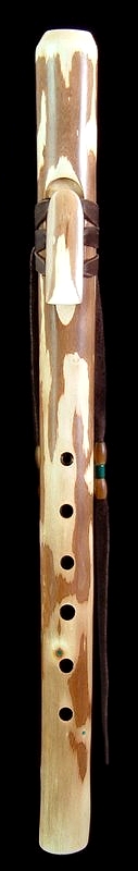 Arroyo Willow "Warbling" Branch Flute in A# from Dryad Flutes