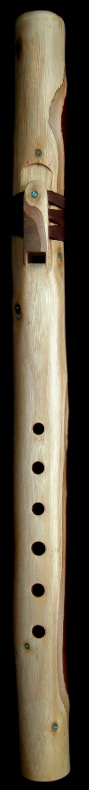 Eucalyptus Branch Flute in Gm